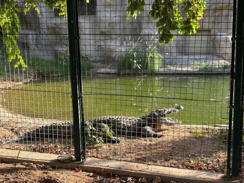 Al Ain Zoo