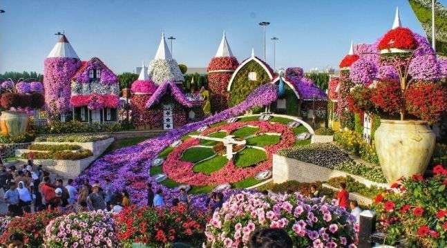 Miracle Garden Dubai 2024: A Blossoming Oasis