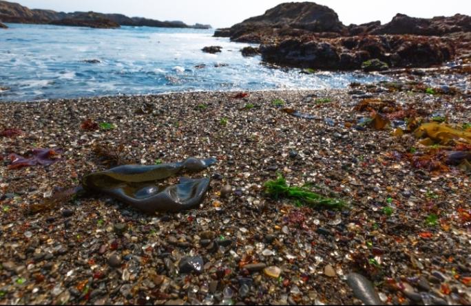 Glass beach California