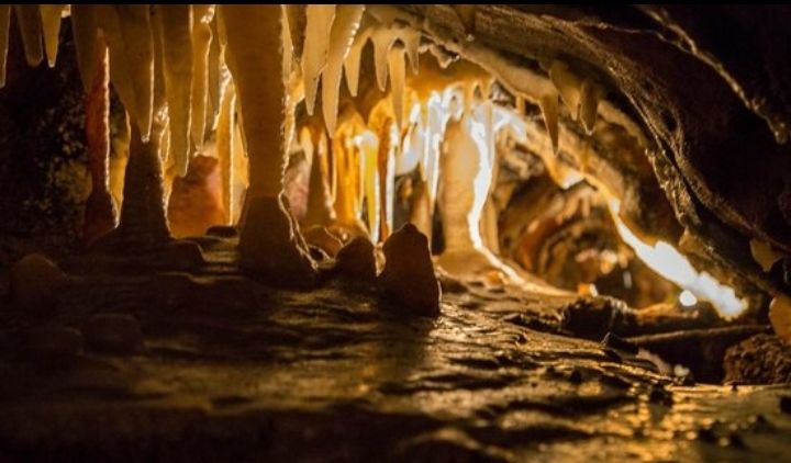 Ohio Caverns: A Natural Wonder in West Liberty