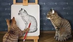 Mastering the Art of Drawing: A4Z_-YMTKR8= Cat