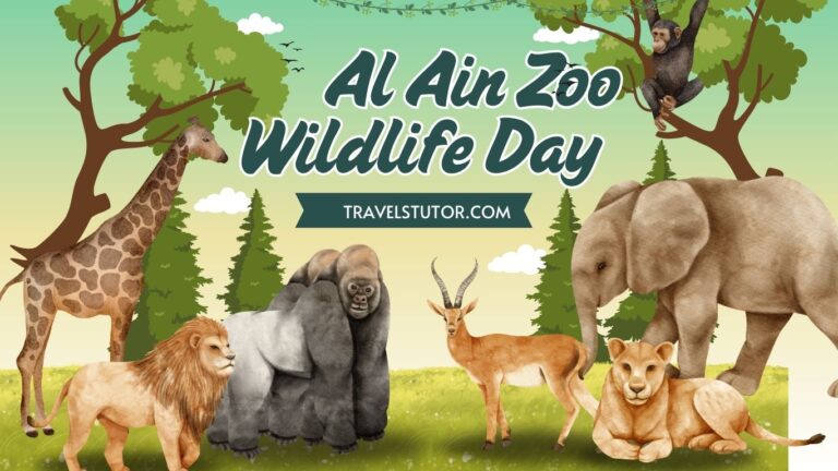 Al Ain Zoo: Where Wild Hearts Beat in the Desert